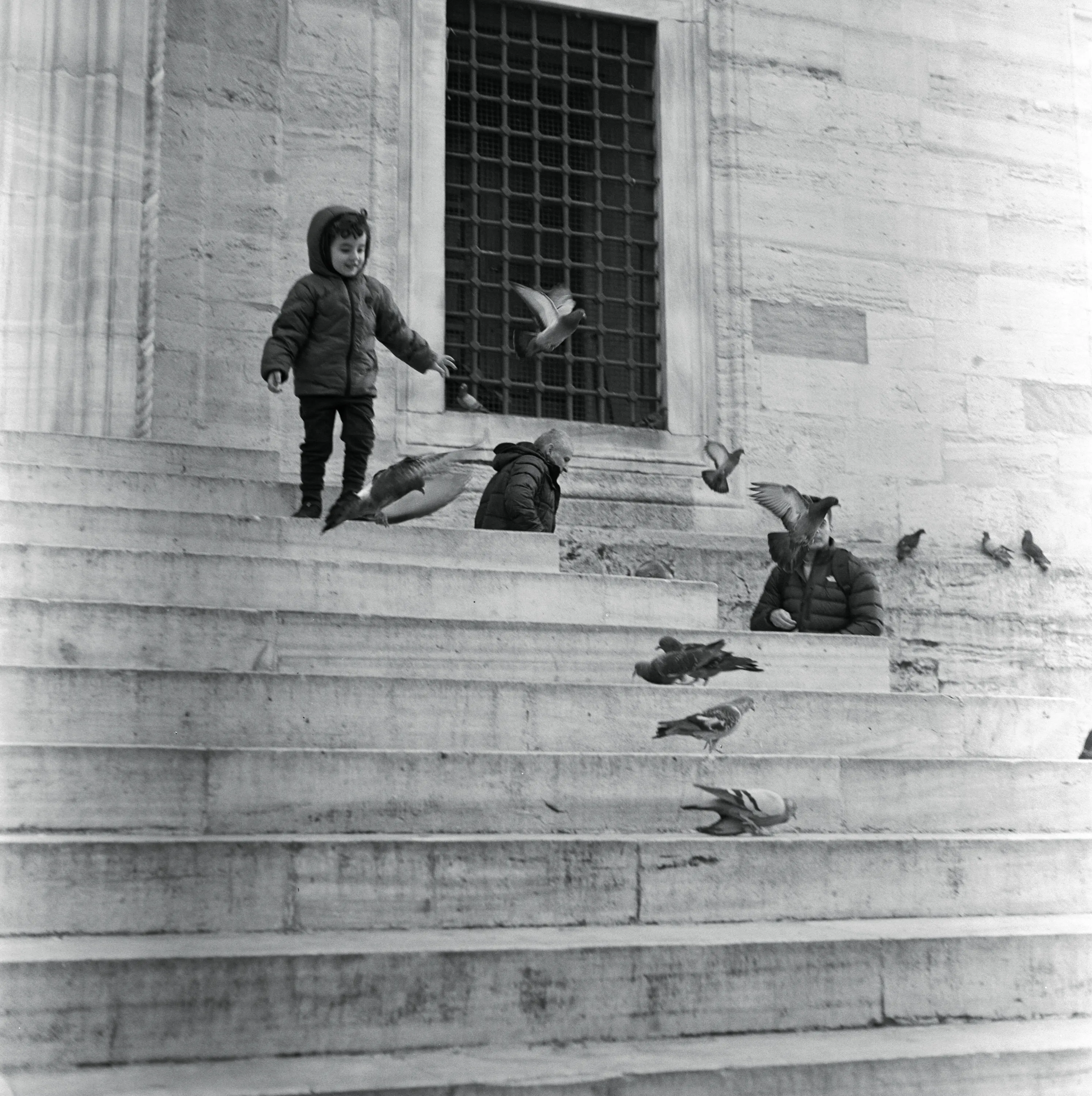 Hasan Çelik