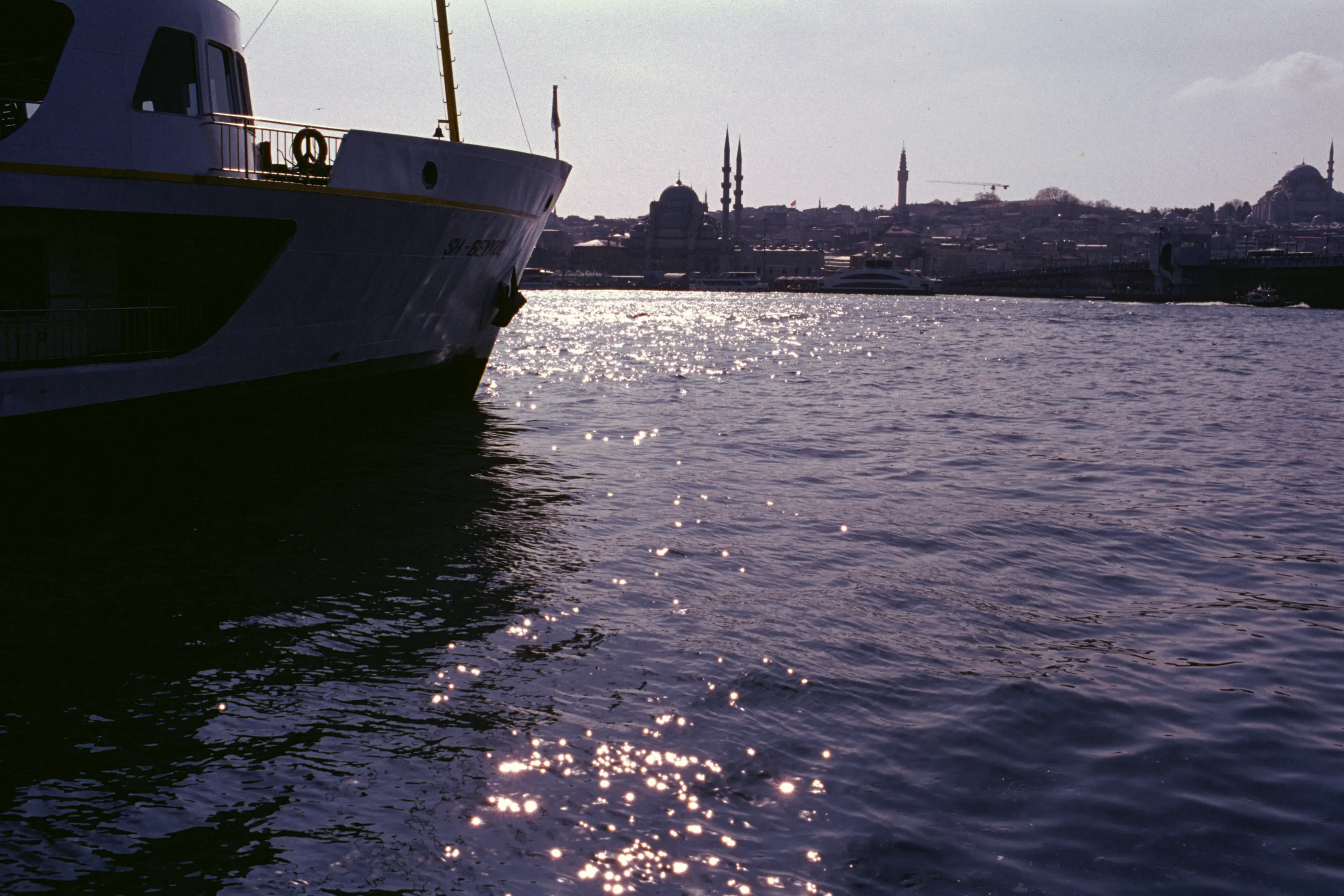 Hasan Çelik