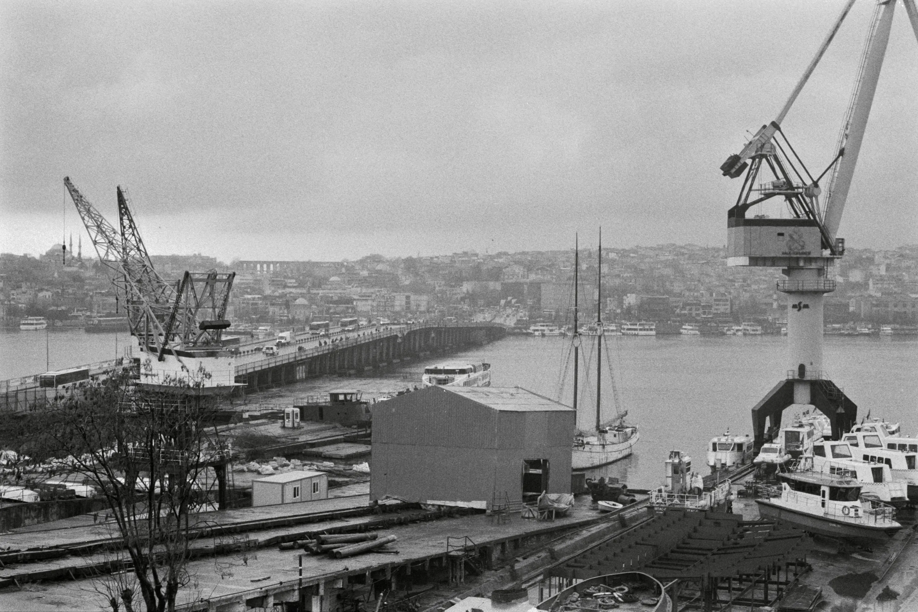 Hasan Çelik